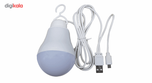چراغ اضطراری آویز چادر مدل USB-OTG