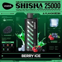 VOZOL SHISHA 25000 GEAR