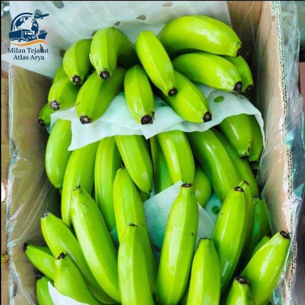 موز سوپر لوکس هند (SUPER LUXURY BANANA BY INDIA)