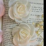 گیره انبری گل