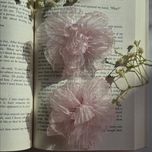 گیره انبری گل لیلیوم