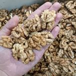 مغز گردو ایرانی دو پر