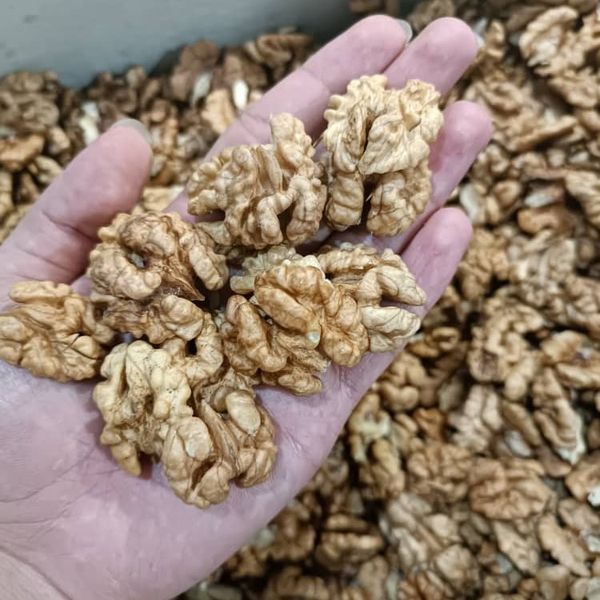 مغز گردو ایرانی دو پر