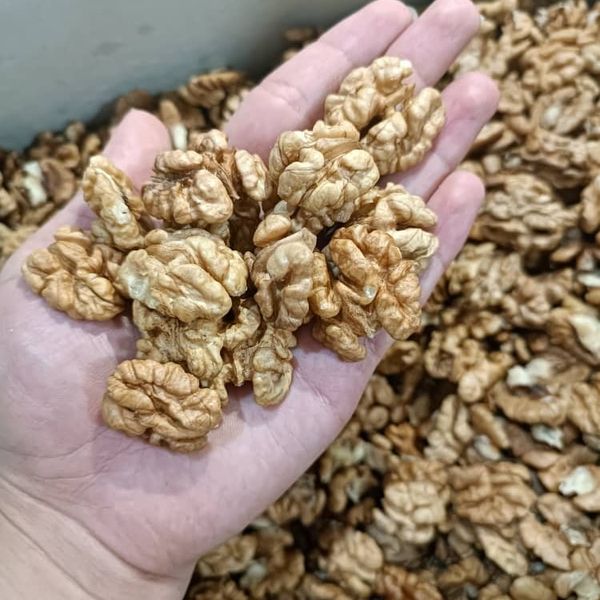 مغز گردو ایرانی دو پر