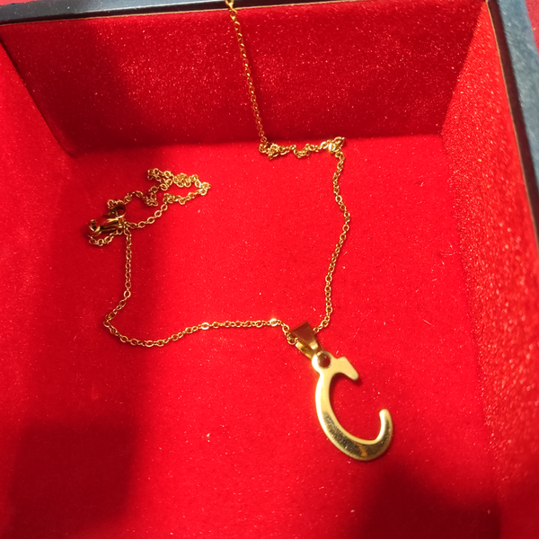 زنجیر وپلاک حرفC