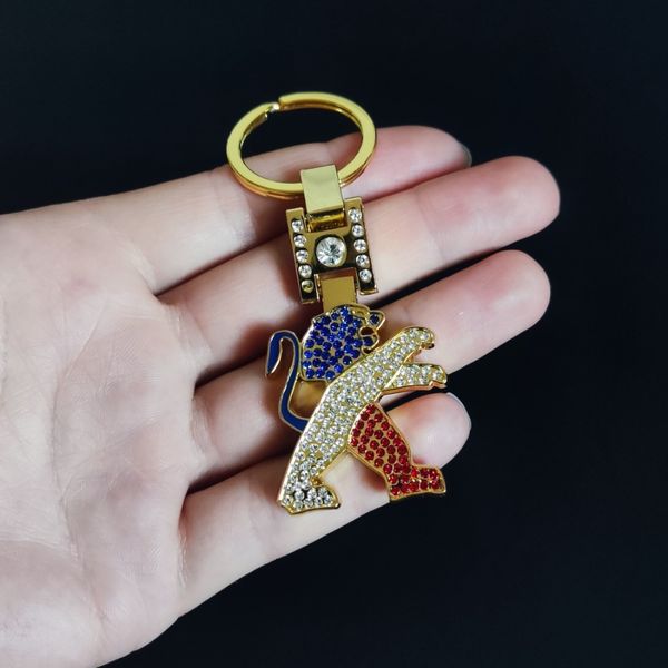 جاسوئیچی نگین دار اورجینال طرح پژو