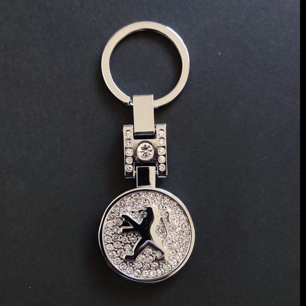 جاسوئیچی نگین دار اورجینال نقره ای