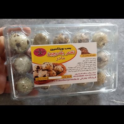 تخم بلدرچین 15 عددی