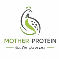 پروتیین مادر
