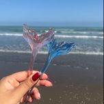 کانزاشی دم وال شفاف