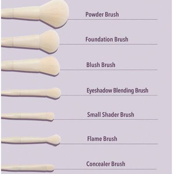 ست براش هشت عددی شیگلم