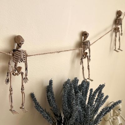 پک ریسه‌ی اسکلتی