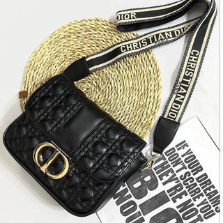 کیف Christian Dior