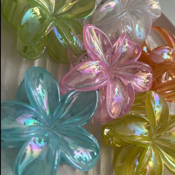 گیره پلومریا شفاف