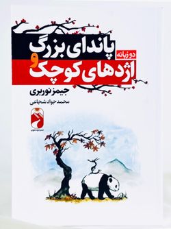 پاندای بزرگ و اژدهای کوچک