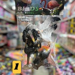 پک باغ وحش پرندگان 6 عددی