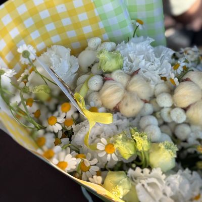 بوکت لیسیانتوس و بابونه