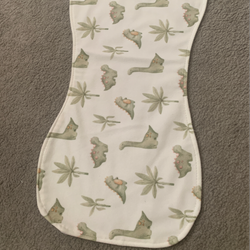 اروغگیر دایناسور سبز