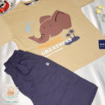 تیشرت شلوارک فیلی