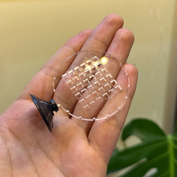 مش پلنت ( نگهدارنده گیاه )