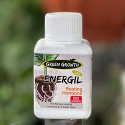 هورمون ریشه زایی مایع