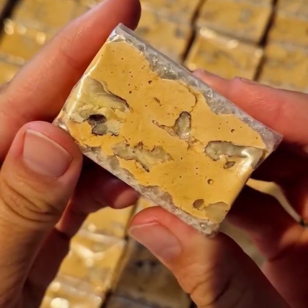 نوقا گردوئی