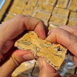 نوقا گردوئی