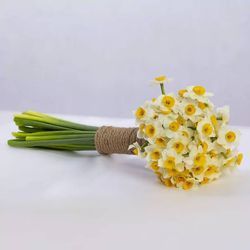 گل نرگس (30شاخه)