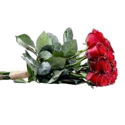 گل رز (5شاخه)