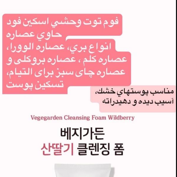 فوم شست و شوی صورت مدل توت وحشی از برند اسکین فود 150 میل
