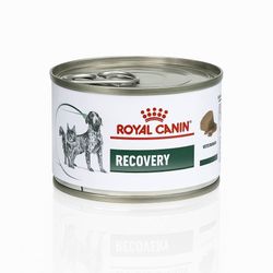غذای کنسروی رویال کنین مخصوص دوران نقاهت – Royal Canin Recovery