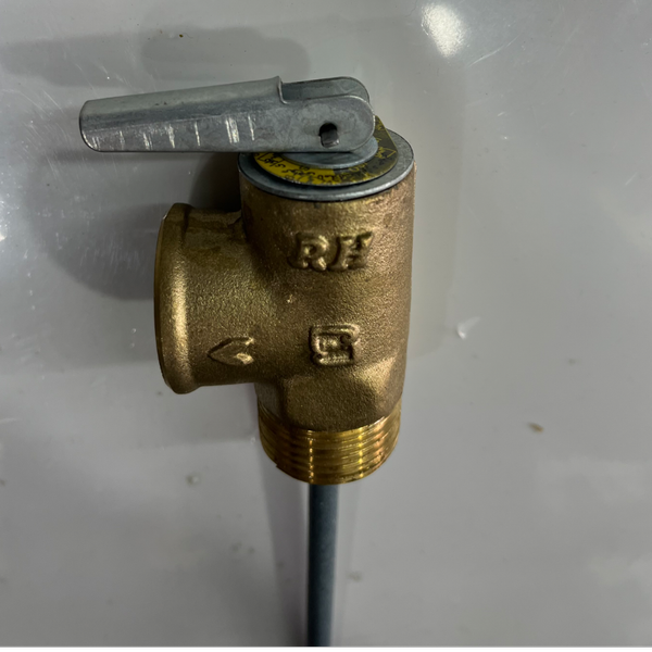 شیر اطمینان