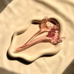 کانزاشی دم وال شفاف