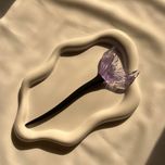 کانزاشی شفاف بدنه رنگی