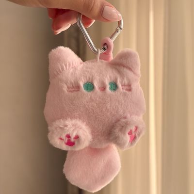 چارم بگ پیشی