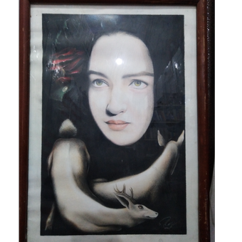 تابلو چهره نیکی کریمی