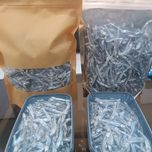 ماهی بسته بندی شده