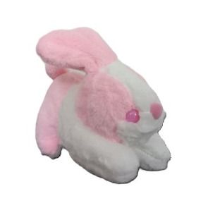 خرگوش خوابیده