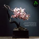 درختچه نیمه مصنوعی شکوفه گیلاس طرح بونسای 2-1