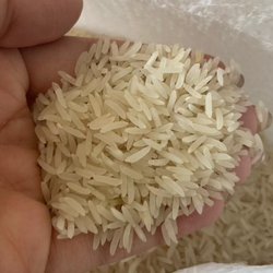 برنج فجر اعلا سوزنی آستانه