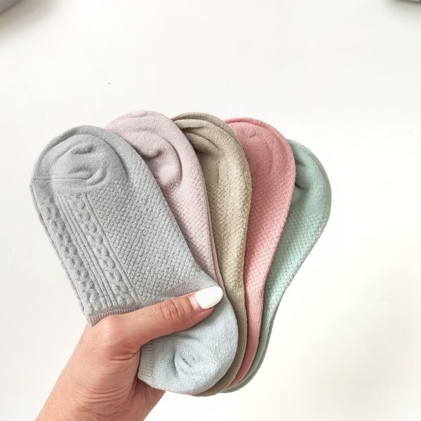 زیرقوزکی پاستلی