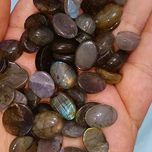 مینی لابرادوریت