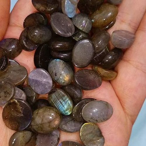 مینی لابرادوریت