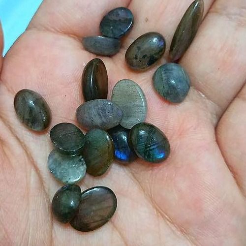 مینی لابرادوریت