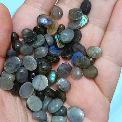 مینی لابرادوریت