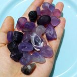 تامبل فلوریت بنفش