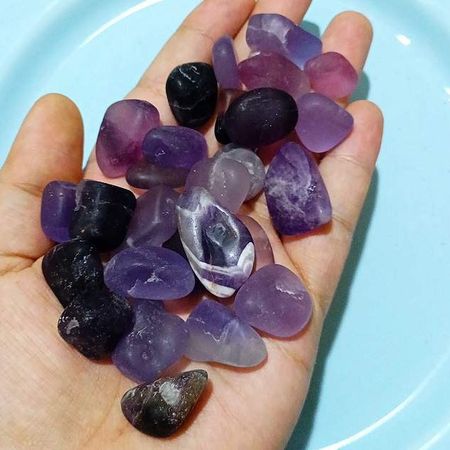 تامبل فلوریت بنفش