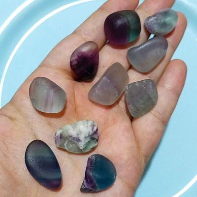 فلوریت رینبو