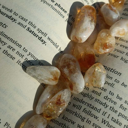 تامبل سیترین