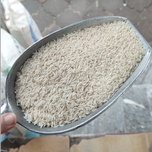 پکیج ترکیبی زرددم دمسیاه(10+10)